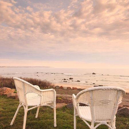 Avonlea Bed & Breakfast New Shoreham Bagian luar foto