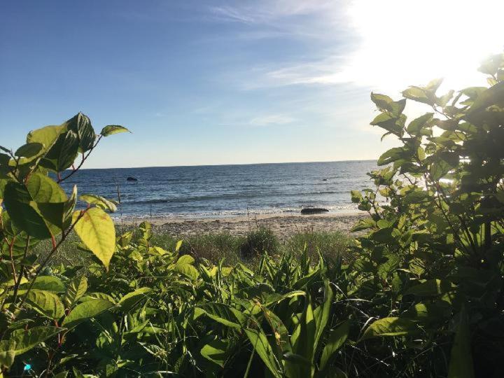 Avonlea Bed & Breakfast New Shoreham Bagian luar foto